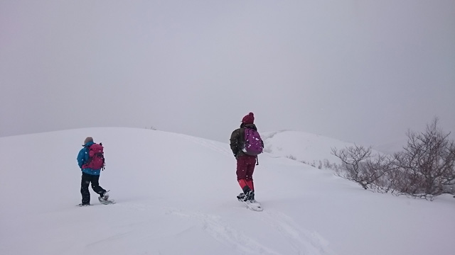 鎌倉森と犬倉山640
