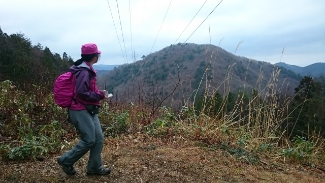 万寿山を見て