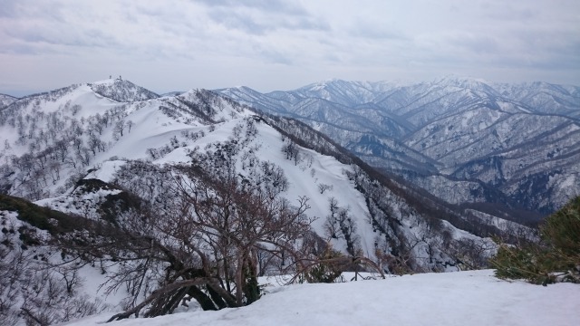 s_DSC_3990