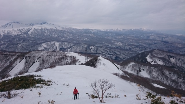 s_DSC_3997