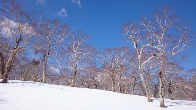 s_DSC_4012