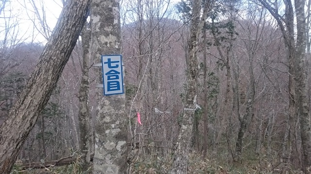 七合目で山頂を見上げて640