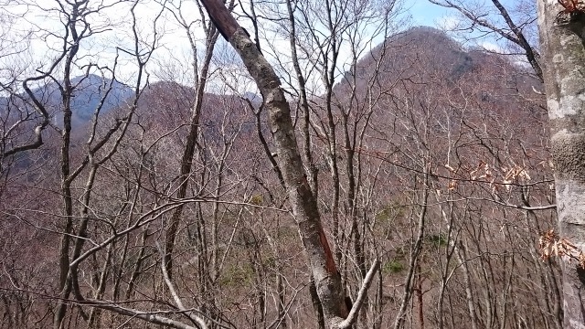 東根山と南昌山640
