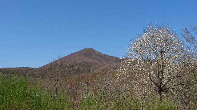 寺田登山口からの七時雨山640