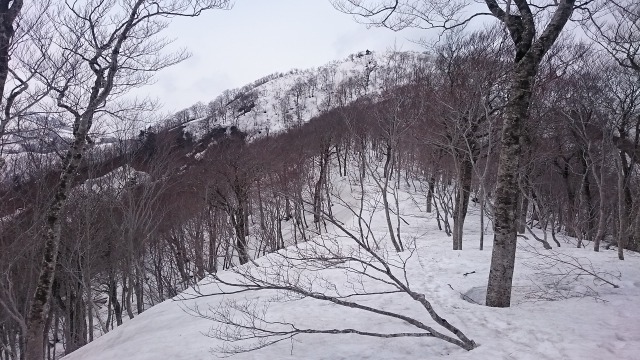 山頂まで雪640