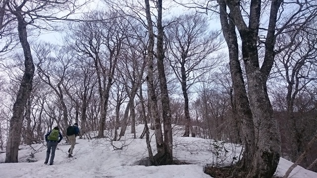 雪640