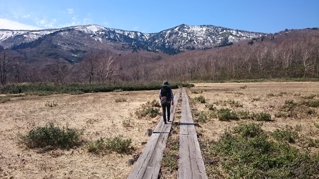 御在所湿原640
