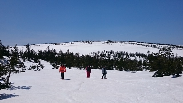 八幡平雪原を行く640
