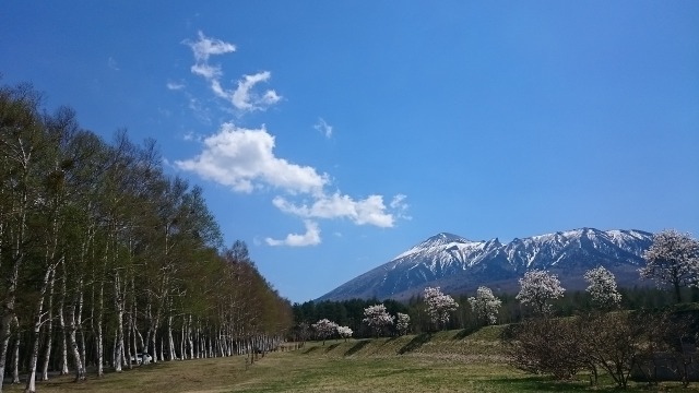 県民の森で640