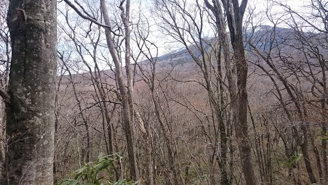 七滝上部からの岩手山640