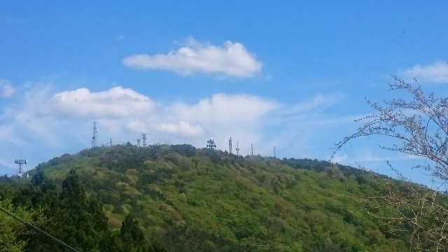 束稲山640