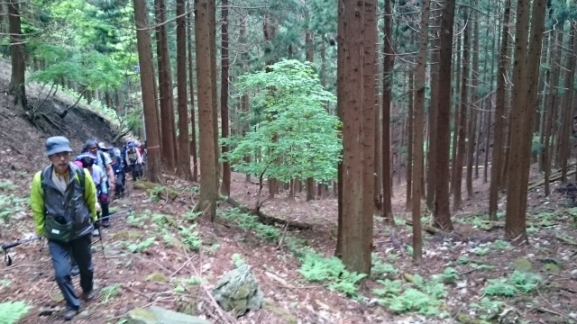 杉並トレイル640」