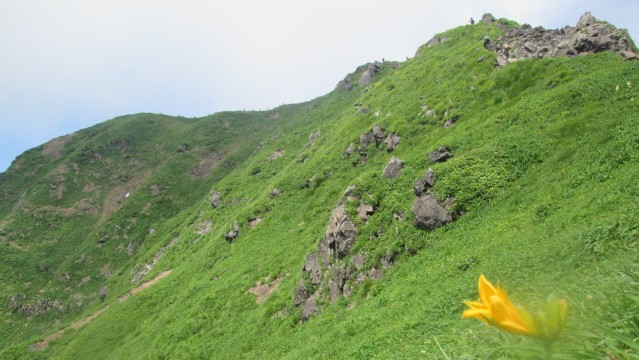 キスゲと男岳
