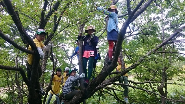 変身！640ｆ