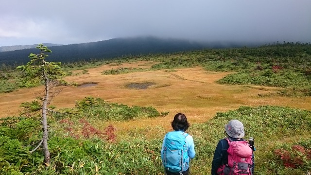 草の湯分岐から640
