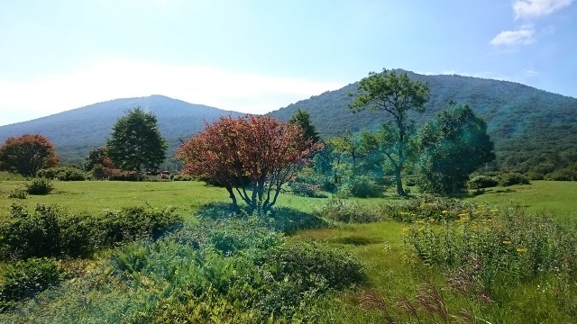前森西森640