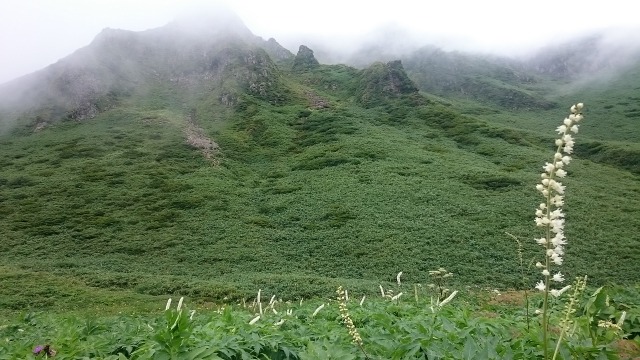 ショウマとムーミン谷の岩峰640