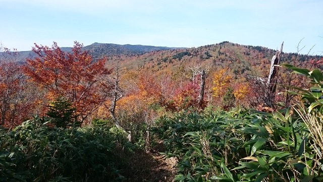 前森山から640