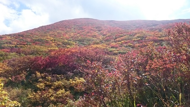 山燃える栗駒640