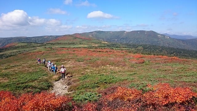 広々とした縦走路640