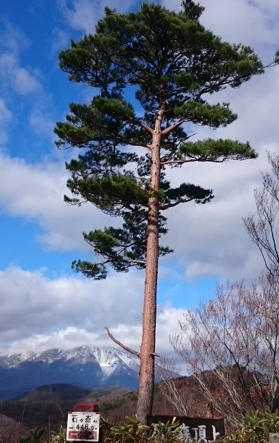 石が森山頂640