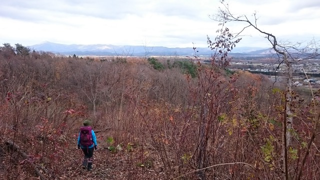 藪漕ぎして作業道へ640