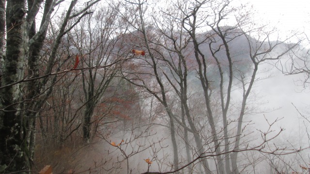 赤林山640