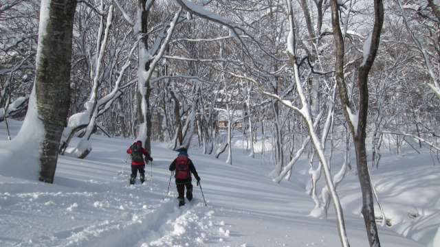 ふかふかの雪を下る640
