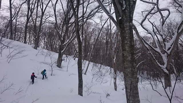 七滝深い沢を行く640