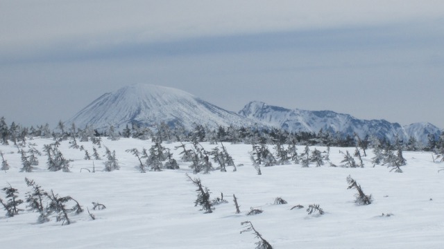 藤助森からの岩手山640