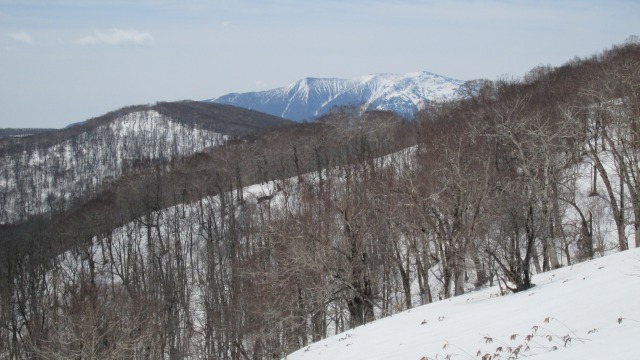 0417青松葉山 ルート上から早池峰640