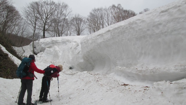 0403貝吹雪壁640