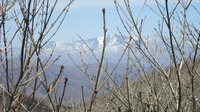 0419石上山頂から早池峰640