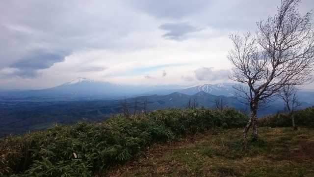 0504七時雨南峰で640