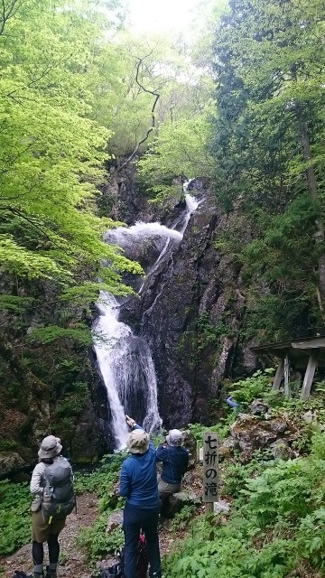 0523鶏頭６640