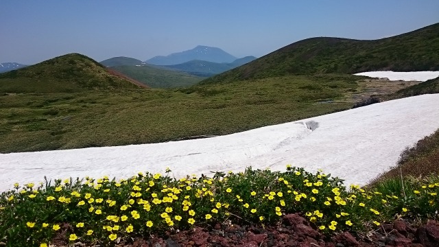 0604秋田駒３