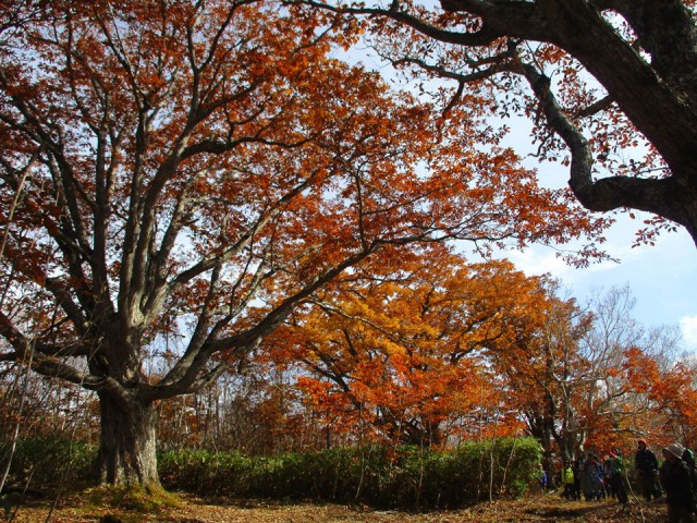 1024県南安比３640