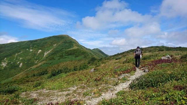 こけ平から和賀岳目指し640