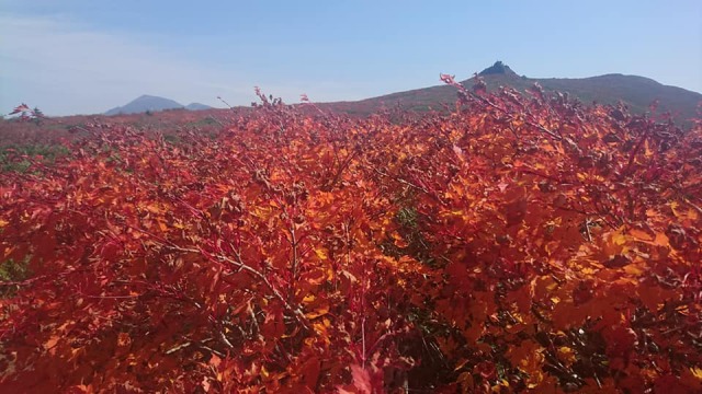 1002岩手山三ツ石山ツーショット640