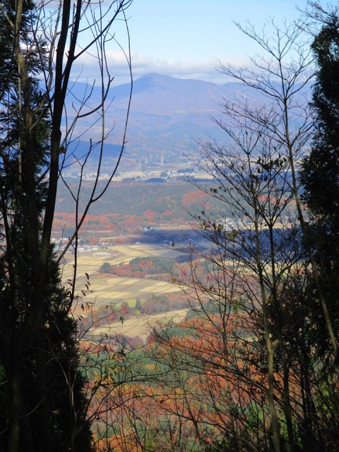 登山道からの景色640