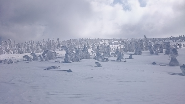 遠くまで続く樹氷群640