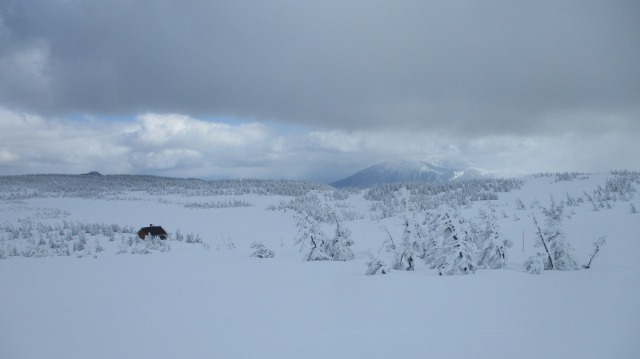 雪原と陵雲荘と岩手山640