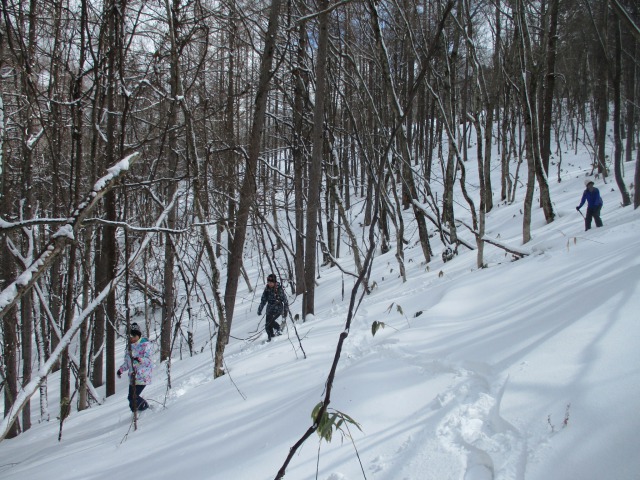 森の斜面はもふもふ雪640