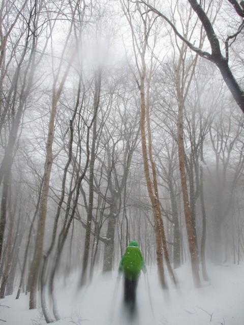 雪の森を行く640