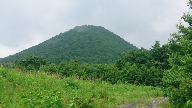 鬼又沢堰堤管理道から見上げた鞍掛山640