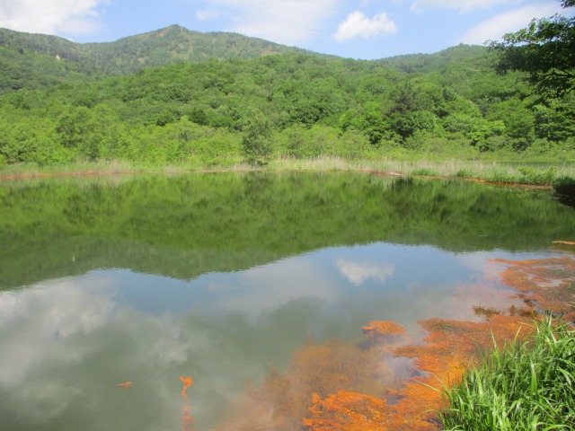 御在所湿原の五色沼と屋棟岳640