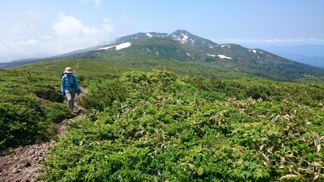 秋田駒を背に、乳頭山へ続く雲上の散歩道を行く640