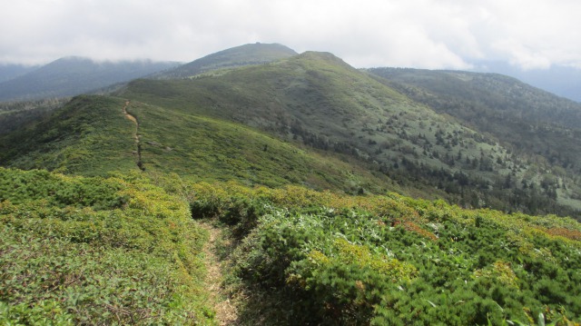 三ツ石山への縦走路640