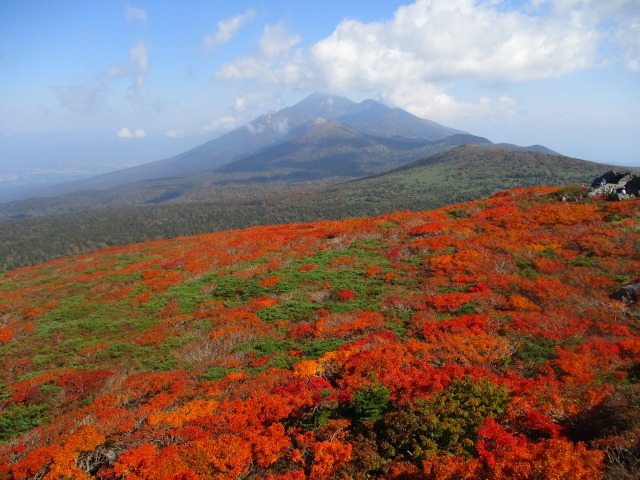 三ツ石山の紅葉と岩手山640