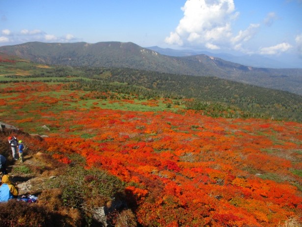 三ツ石山の紅葉絨毯640 (2)